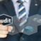clinorga-audit